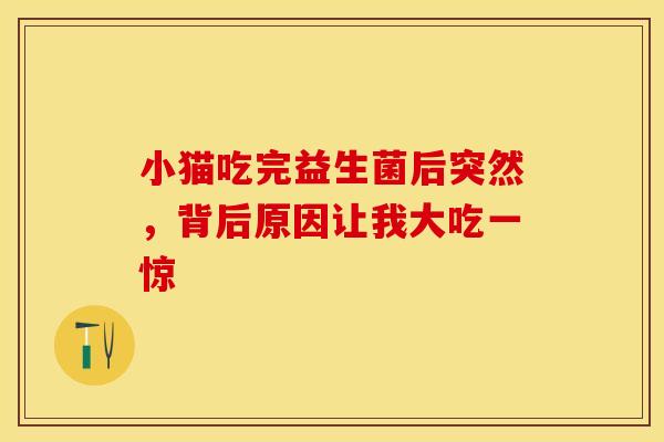 小猫吃完益生菌后突然，背后原因让我大吃一惊
