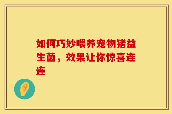 如何巧妙喂养宠物猪益生菌，效果让你惊喜连连