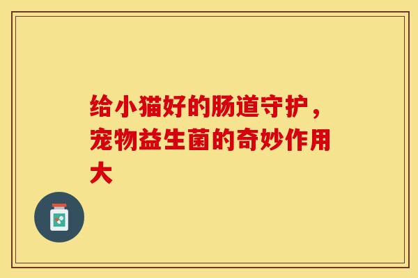 给小猫好的肠道守护，宠物益生菌的奇妙作用大