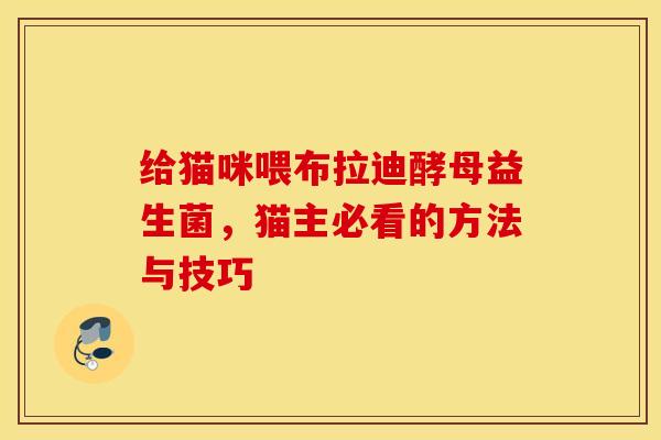 给猫咪喂布拉迪酵母益生菌，猫主必看的方法与技巧