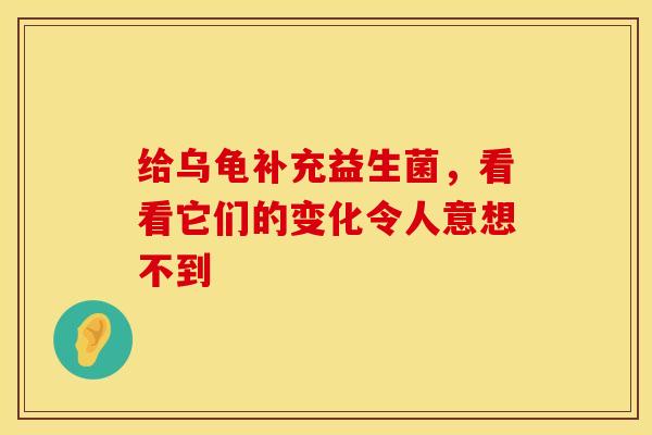 给乌龟补充益生菌，看看它们的变化令人意想不到