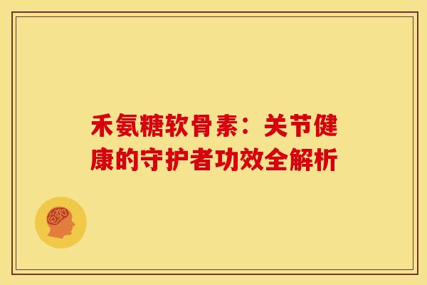 禾氨糖软骨素：关节健康的守护者功效全解析