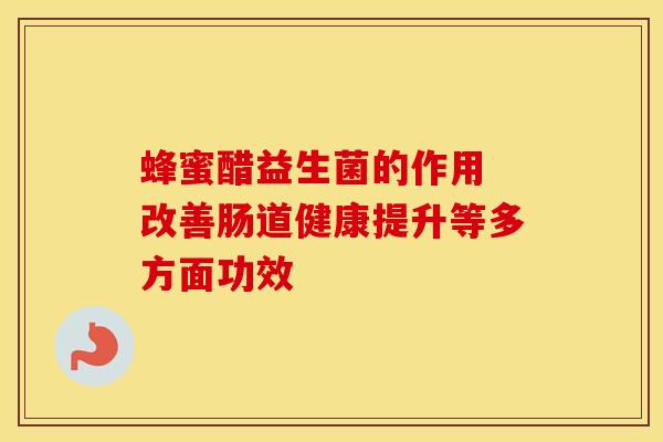 蜂蜜醋益生菌的作用 改善肠道健康提升等多方面功效