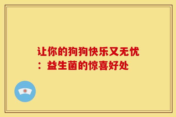 让你的狗狗快乐又无忧：益生菌的惊喜好处