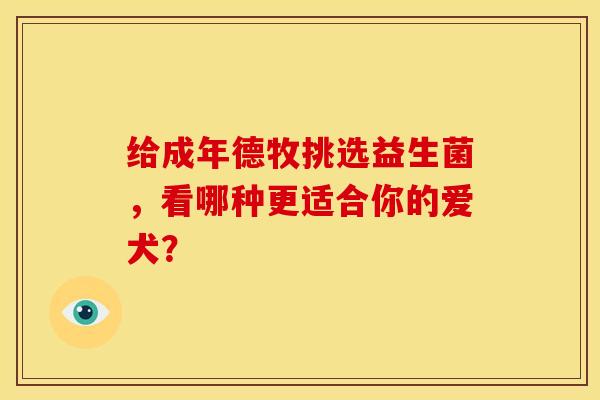 给成年德牧挑选益生菌,看哪种更适合你的爱犬? 给成年德牧挑选益生菌,看哪种更适合你的爱犬?