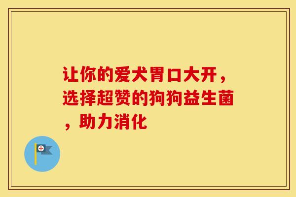 让你的爱犬胃口大开，选择超赞的狗狗益生菌，助力消化