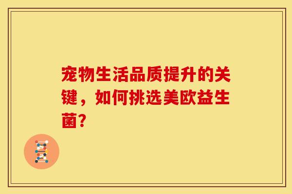 宠物生活品质提升的关键，如何挑选美欧益生菌？