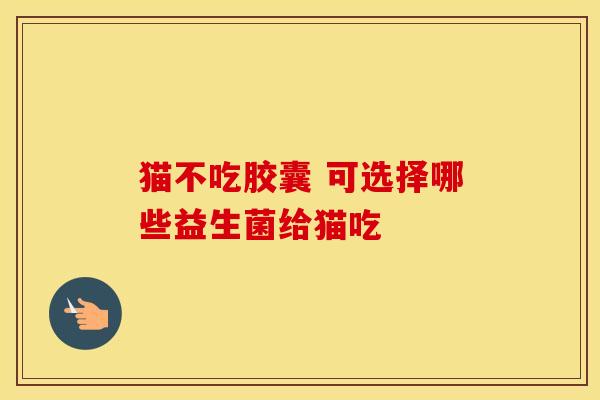 猫不吃胶囊 可选择哪些益生菌给猫吃 猫不吃胶囊 可选择哪些益生菌给猫吃