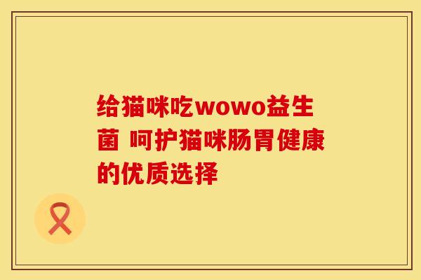 给猫咪吃wowo益生菌 呵护猫咪肠胃健康的优质选择