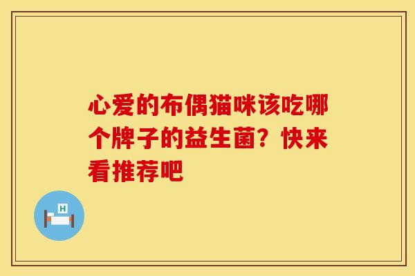心爱的布偶猫咪该吃哪个牌子的益生菌？快来看推荐吧