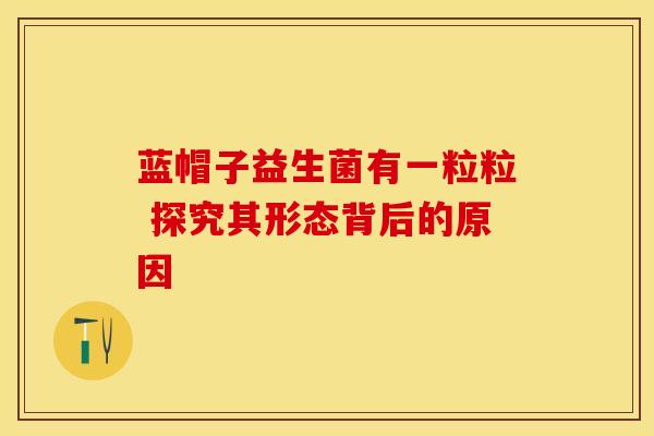 蓝帽子益生菌有一粒粒 探究其形态背后的原因