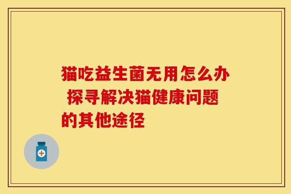猫吃益生菌无用怎么办 探寻解决猫健康问题的其他途径