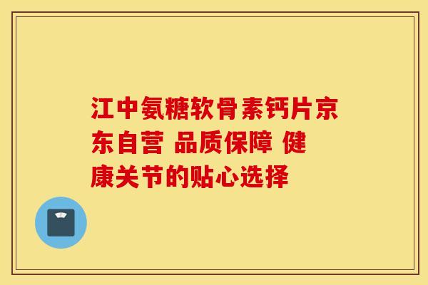 江中氨糖软骨素钙片京东自营 品质保障 健康关节的贴心选择