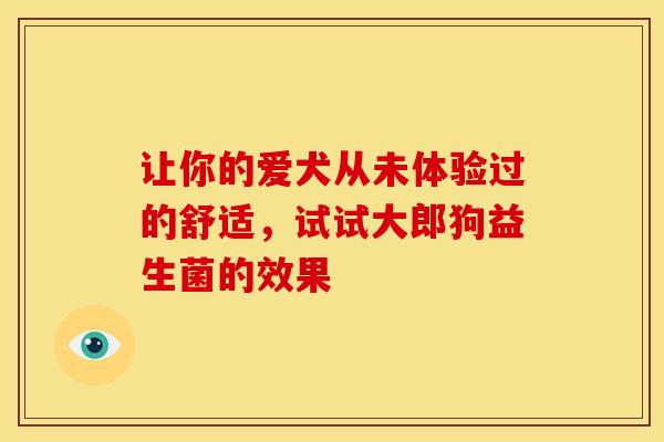 让你的爱犬从未体验过的舒适，试试大郎狗益生菌的效果