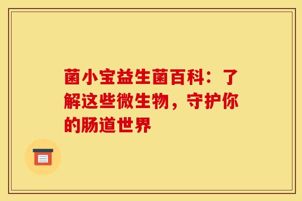 菌小宝益生菌百科：了解这些微生物，守护你的肠道世界